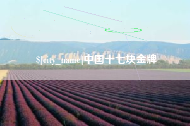 重庆中国十七块金牌
