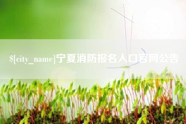 重庆宁夏消防报名入口官网公告