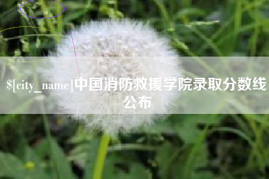 重庆中国消防救援学院录取分数线公布