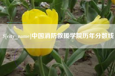 重庆中国消防救援学院历年分数线