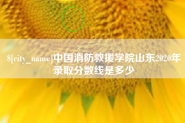 重庆中国消防救援学院山东2020年录取分数线是多少
