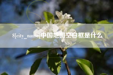 重庆中国地图空白框是什么