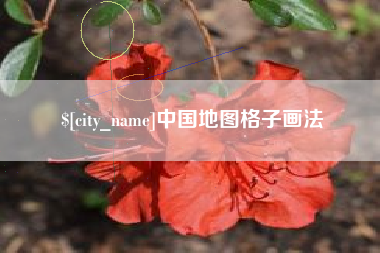 重庆中国地图格子画法