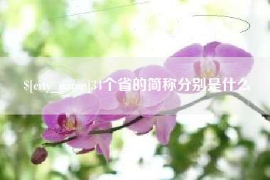 重庆34个省的简称分别是什么