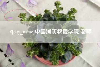 重庆中国消防救援学院 老师
