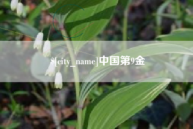 重庆中国第9金