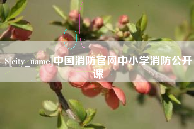 重庆中国消防官网中小学消防公开课