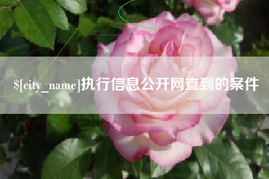 重庆执行信息公开网查到的案件