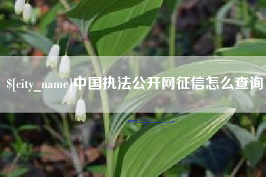 重庆中国执法公开网征信怎么查询