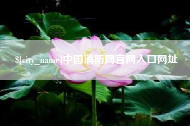 重庆中国消防网官网入口网址