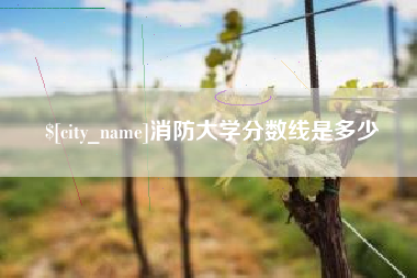 重庆消防大学分数线是多少