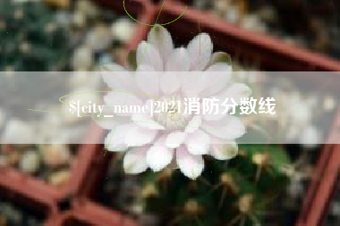 重庆2021消防分数线
