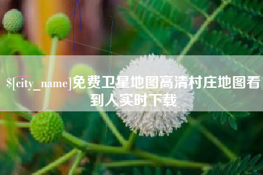重庆免费卫星地图高清村庄地图看到人实时下载
