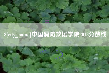 重庆中国消防救援学院2018分数线