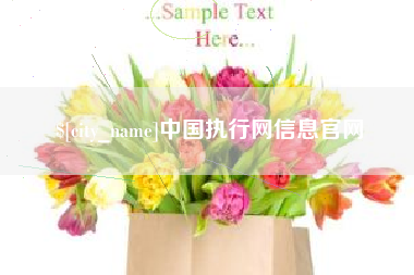 重庆中国执行网信息官网