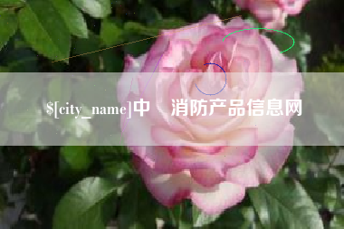 重庆中囯消防产品信息网