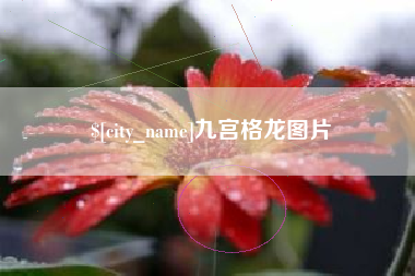 重庆九宫格龙图片