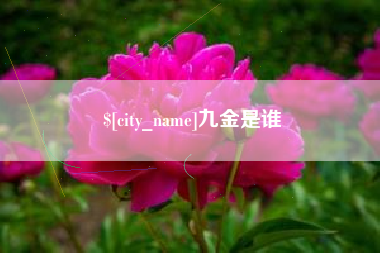 重庆九金是谁