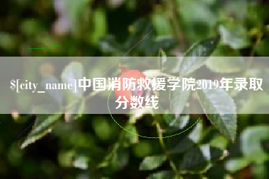 重庆中国消防救援学院2019年录取分数线