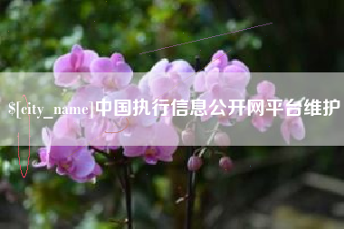 重庆中国执行信息公开网平台维护