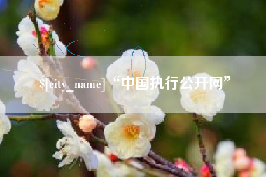 重庆“中国执行公开网”