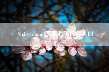 重庆国家消防报名入口
