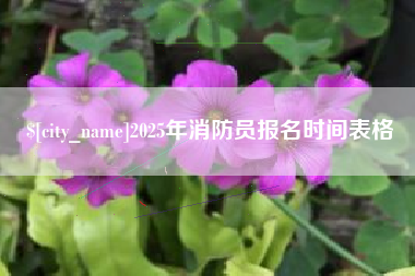 重庆2025年消防员报名时间表格