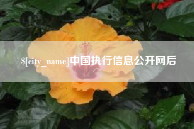 重庆中国执行信息公开网后