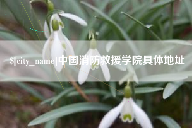 重庆中国消防救援学院具体地址