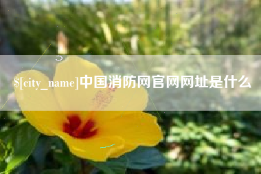 重庆中国消防网官网网址是什么