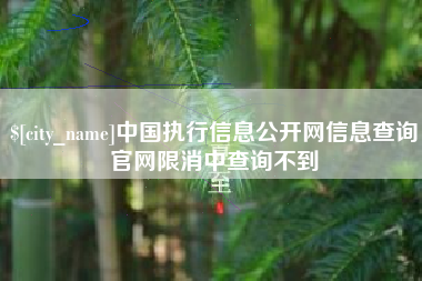重庆中国执行信息公开网信息查询官网限消中查询不到