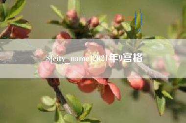 重庆2021年9宫格