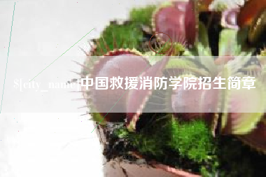 重庆中国救援消防学院招生简章