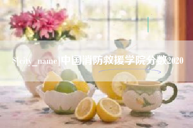 重庆中国消防救援学院分数2020