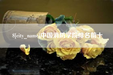 重庆中国消防学院排名前十