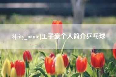 重庆王子豪个人简介乒乓球