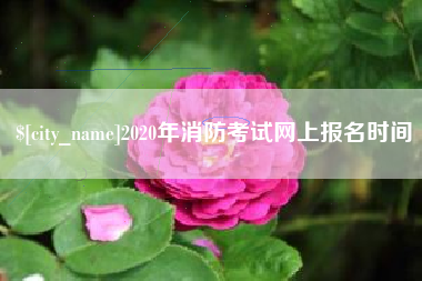 重庆2020年消防考试网上报名时间