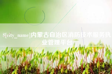 重庆内蒙古自治区消防技术服务执业管理平台