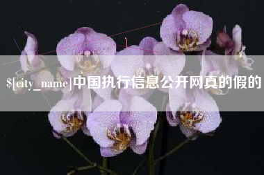 重庆中国执行信息公开网真的假的