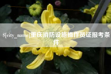 重庆重庆消防设施操作员证报考条件