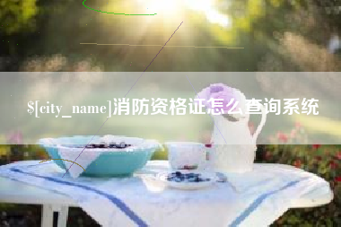 重庆消防资格证怎么查询系统