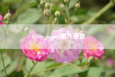 重庆第九金是