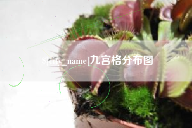 重庆九宫格分布图