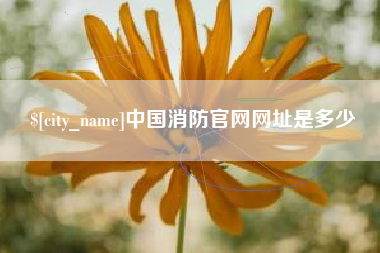 重庆中国消防官网网址是多少