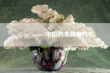 重庆中国的金牌有几名