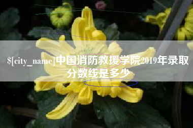 重庆中国消防救援学院2019年录取分数线是多少