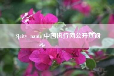 重庆中国执行网公开查询