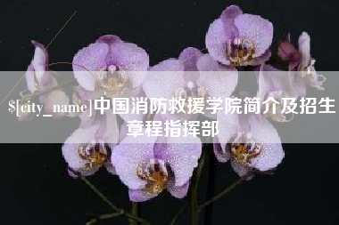 重庆中国消防救援学院简介及招生章程指挥部