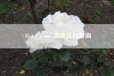 重庆消防证的查询
