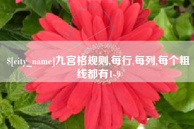 重庆九宫格规则,每行,每列,每个粗线都有1-9